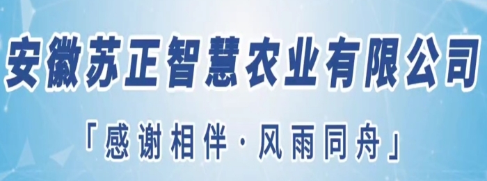 守望初心勇?lián)?dāng)，篤定前行綻芳華